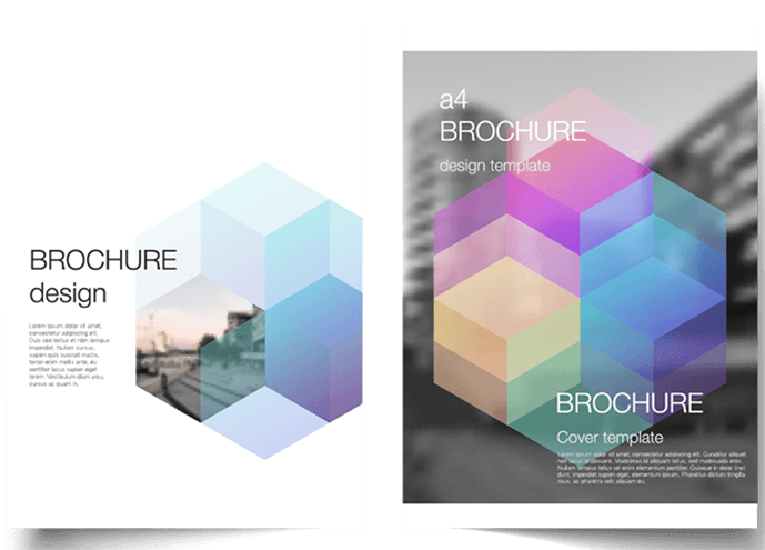 Flyers & Brochures